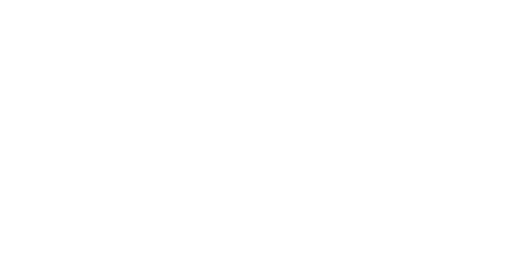 custom quoter logo white